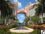 Vacation @ Atlantis Paradise Island