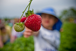 Tougas Family Farm