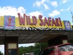 Wild Safari